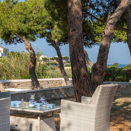 Dellagracia Mansion In Poseidonia Syros Villa Posidhonia  ภายนอก รูปภาพ