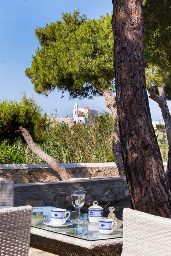 Dellagracia Mansion In Poseidonia Syros Villa Posidhonia  ภายนอก รูปภาพ